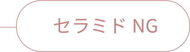 rainymell mewmeltgloss