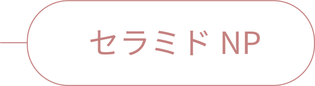 rainymell mewmeltgloss