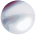 rainymell jellyfish